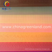 100%Nylon Organza Fabric for Garment Textile (GLLML072)